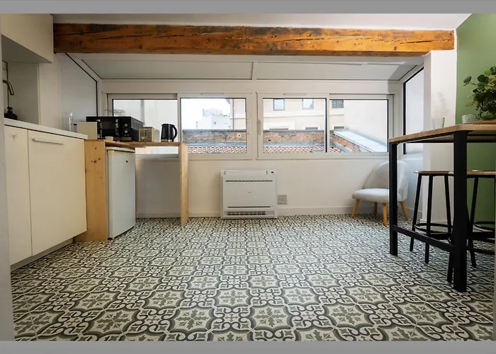 Apartment O Charme Des Blanchers - Climatisation, Wifi, Tv Toulouse